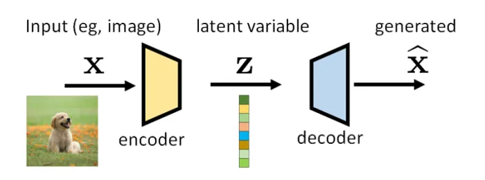 The Auto-Encoder-Decoder 